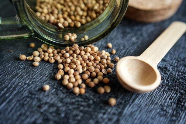 قیمت تخم گشنیز خوش طعم + خرید باور نکردنی